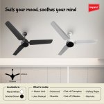 Impex BLDC Ceiling Fan |1200 mm | 5 Star Rated Ceiling Fan with Remote Control | ATOM 28 